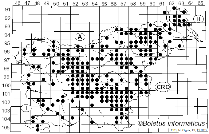 <i>Xerocomus subtomentosus</i> (L.) Quél. (1888)