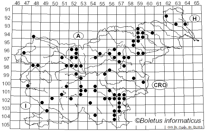 <i>Geastrum rufescens</i> Pers. (1801)
