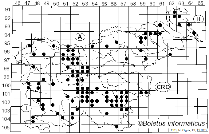 <i>Hygrophorus pudorinus</i> (Fr.) Fr. (1836)