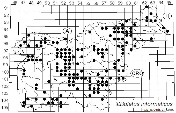 <i>Peziza</i> Dill. ex Fr. (1822)