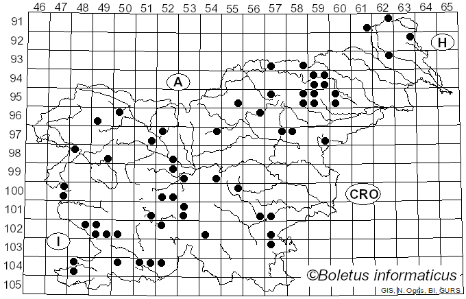 <i>Tricholoma imbricatum</i> (Fr.) P. Kumm. (1871)