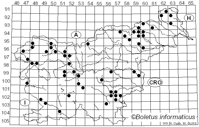 <i>Antrodia</i> P. Karst. (1879)