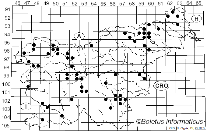 <i>Antrodia</i> P. Karst. (1879)