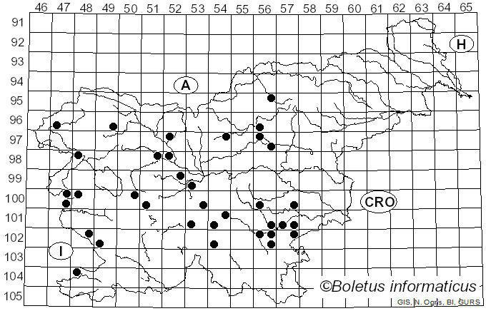 <i>Pholiota lucifera</i> (Lasch) Quél. (1872)