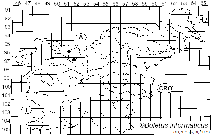 <i>Pleurotus eryngii</i> (DC.) Quél. (1872)