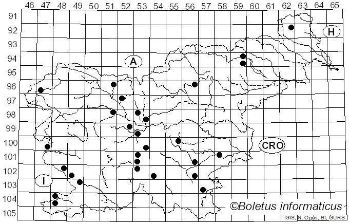 <i>Tricholoma fracticum</i> (Britzelm.) Kreisel (1984)