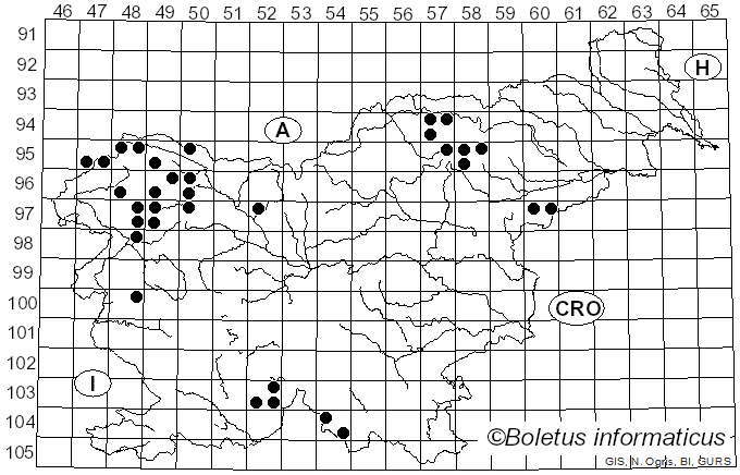 <i>Lecanora subrugosa</i> Nyl. (1875)