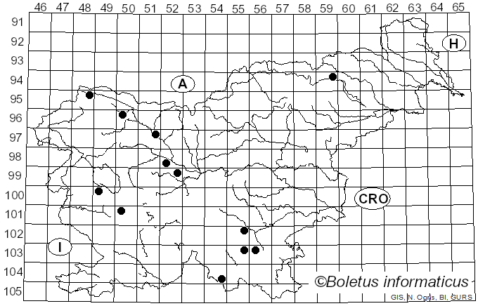 <i>Mycoacia gilvescens</i> (Bres.) Zmitr. (2018)