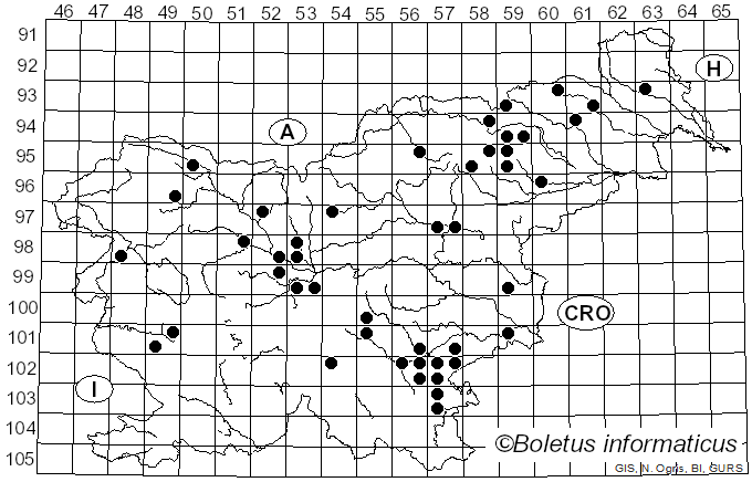 <i>Russula velenovskyi</i> Melzer & Zvára (1927)