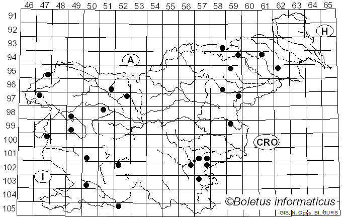 <i>Laeticutis</i> Audet (2010)