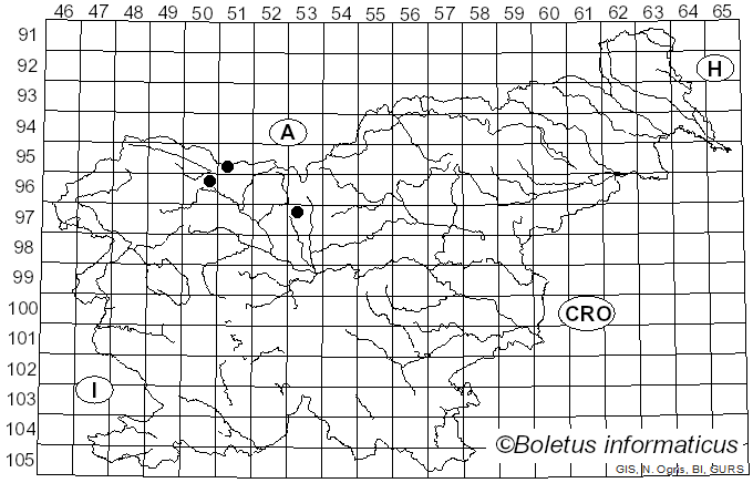 <i>Lewia scrophulariae</i> (Desm.) M.E. Barr & E.G. Simmons (1986)