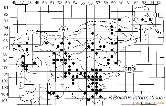 <i>Polyporus umbellatus</i> (Pers.) Fr. (1821)