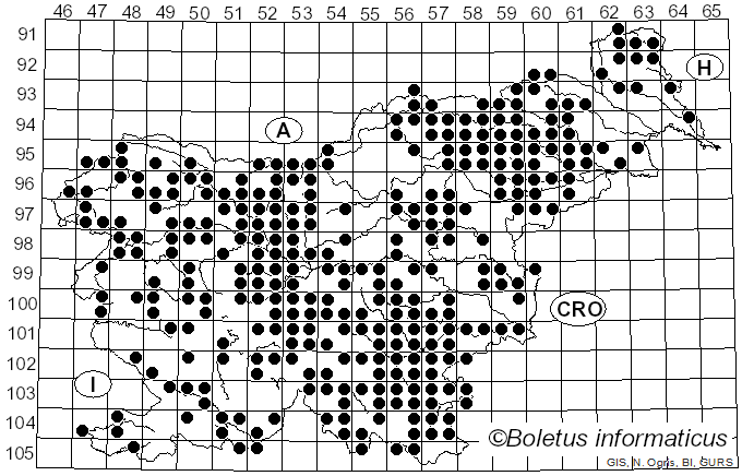 <i>Polyporus</i> P. Micheli ex Adans. (1763)