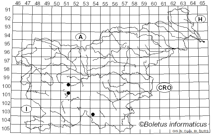<i>Rhingia campestris</i> Meigen