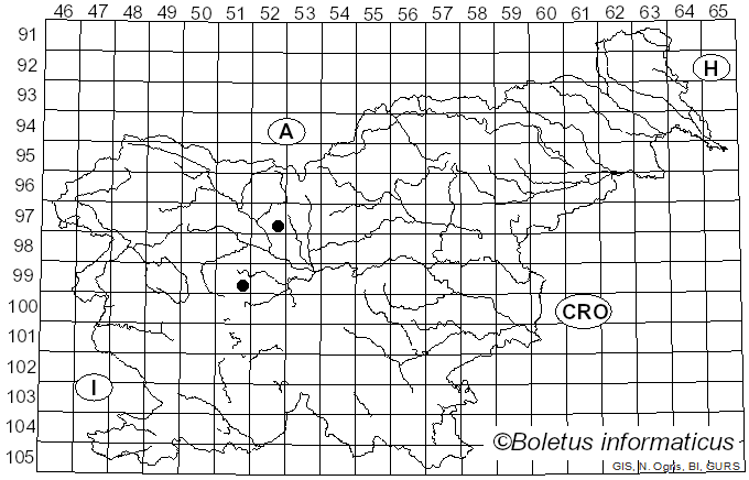 <i>Neosetophoma</i> Gruyter, Aveskamp & Verkley (2010)