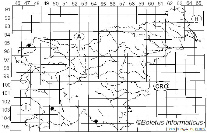 <i>Ceriporia viridans</i> (Berk. & Broome) Donk (1933)