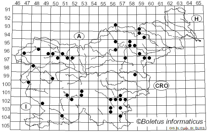 <i>Hericium flagellum</i> (Scop.) Pers. (1797)