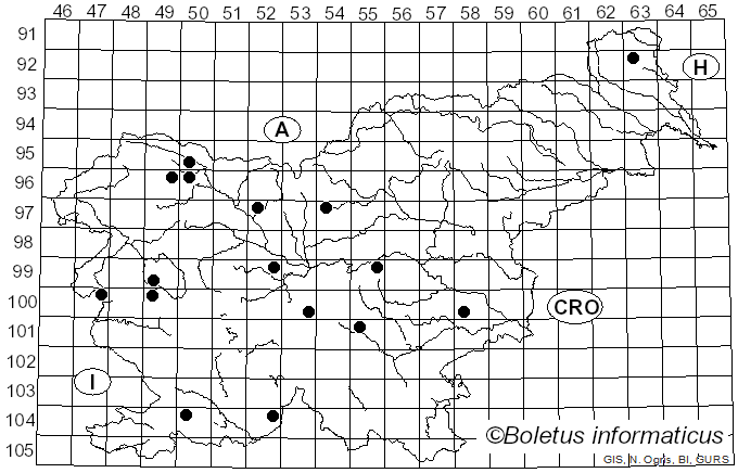 <i>Trichia decipiens</i> (Pers.) T. Macbr. (1899)