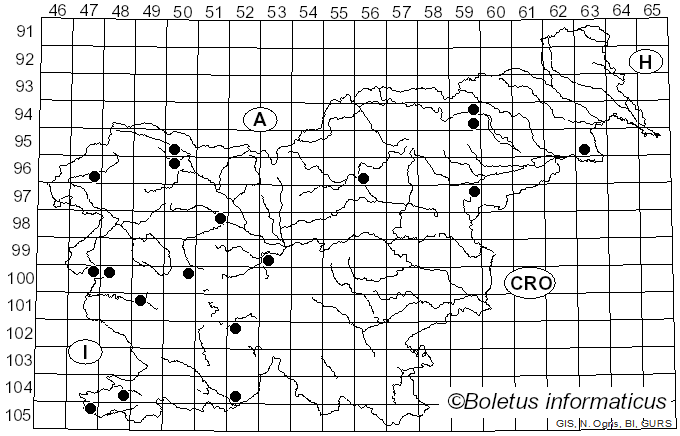 <i>Cyclocybe</i> Velen. (1939)