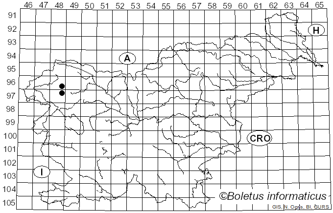 <i>Solorina bispora</i> var. <i>bispora</i> Nyl. (1860)