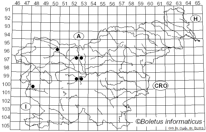 <i>Phyllosticta cruenta</i> (Fr.) J. Kickx f. (1867)
