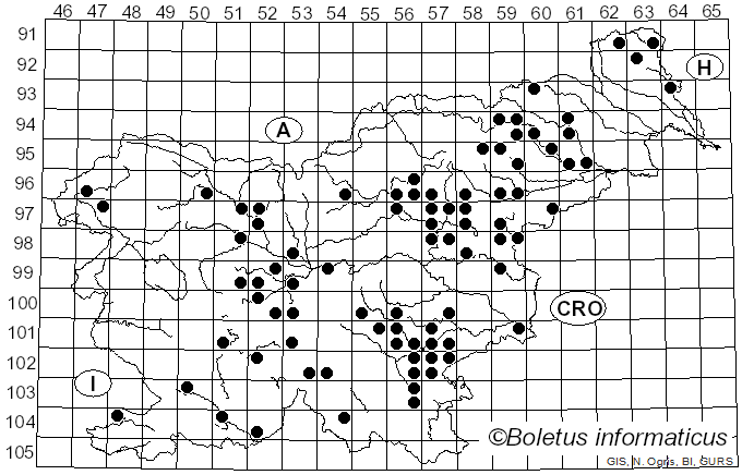 <i>Butyriboletus regius</i> (Krombh.) D. Arora & J.L. Frank (2014)