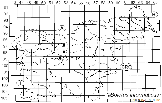 <i>Cercosporella cana</i> Sacc. (1881)