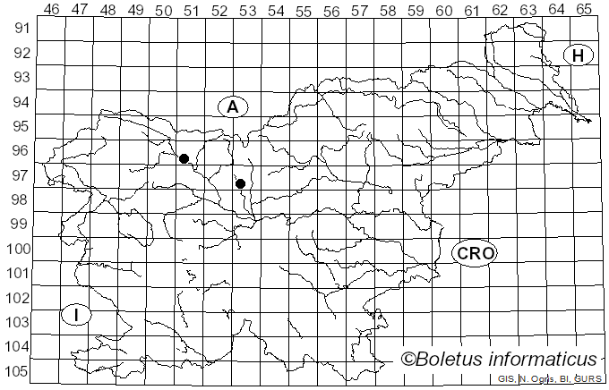 <i>Polystigma fulvum</i> Pers. ex DC. (1815)