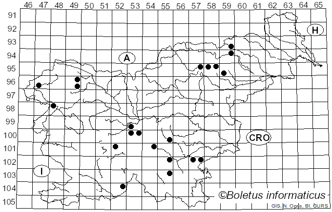 <i>Omphalina</i> Quél. (1886)