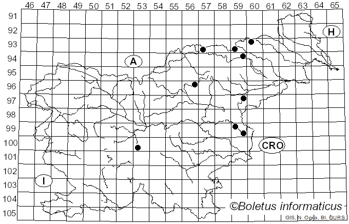 <i>Conocybe antipus</i> (Lasch) Fayod