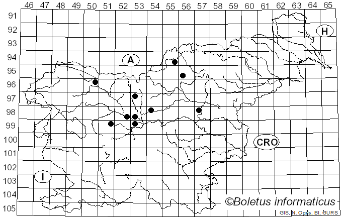 <i>Puccinia aegopodii</i> (Schumach.) Link (1817)