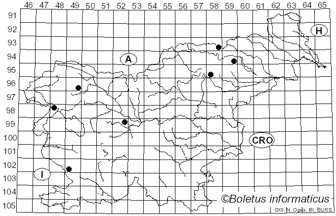 <i>Lactarius musteus</i> Fr. (1838)