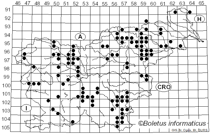 <i>Neoboletus</i> Gelardi, Simonini & Vizzini (2014)