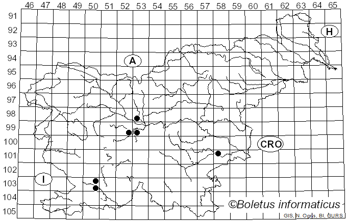 <i>Perenniporia medulla-panis</i> (Jacq.) Donk (1967)