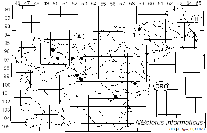 <i>Spathularia</i> Pers. (1797)