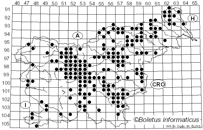<i>Suillus variegatus</i> (Sw.) Kuntze (1898)