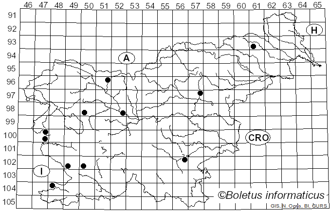 <i>Clavaria fumosa</i> Pers. (1797)