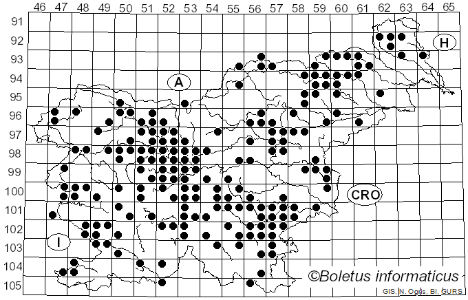 <i>Lepista glaucocana</i> (Bres.) Singer (1951)