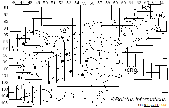 <i>Hemitrichia clavata</i> (Pers.) Rostaf. (1873)