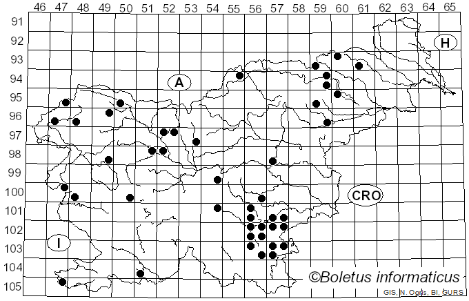 <i>Inosperma</i> (Kühner) Matheny & Esteve-Rav. (2019)