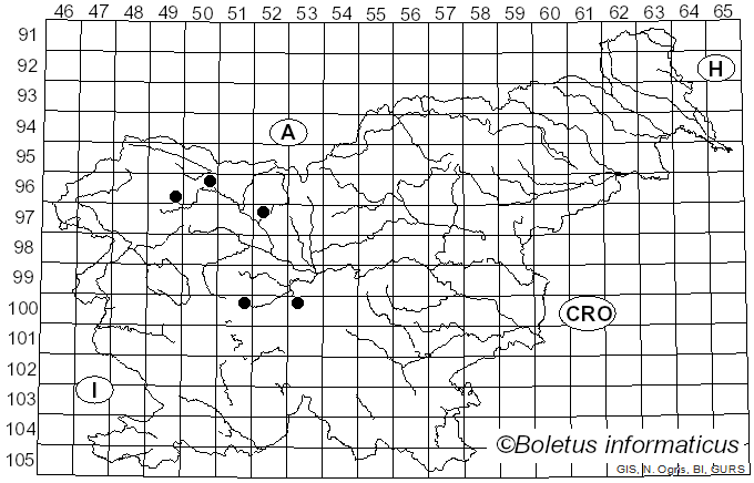 <i>Sphaerophoria interrupta</i> Fabricius (1805)