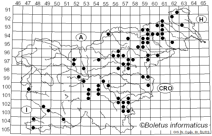 <i>Hygrophorus arbustivus</i> Fr. (1836)