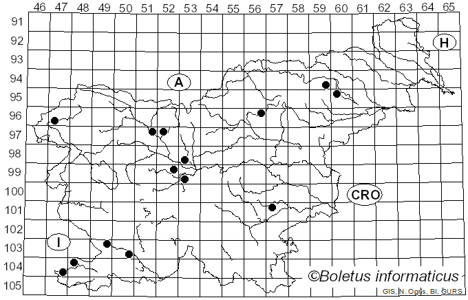 <i>Lepiota pseudolilacea</i> Huijsman (1947)