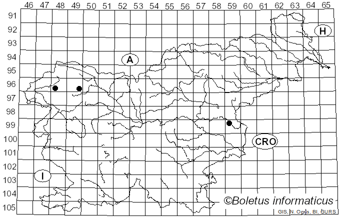 <i>Cuphophyllus fornicatus</i> (Fr.) Lodge, Padamsee & Vizzini (2013)