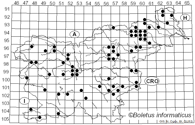 <i>Phellinus igniarius</i> (L.) Quél. (1886)
