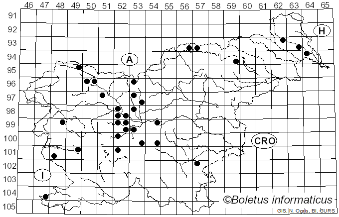 <i>Taphrina</i> Fr. (1815)