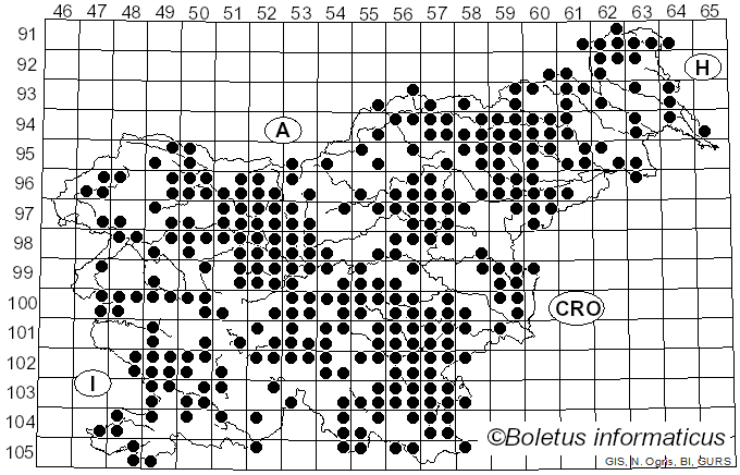 <i>Trametes versicolor</i> (L.) Lloyd (1921)
