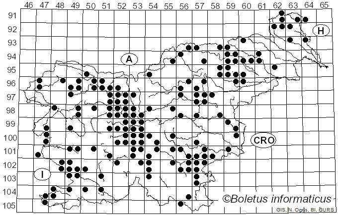 <i>Tricholoma terreum</i> (Schaeff.) Quél. (1871)