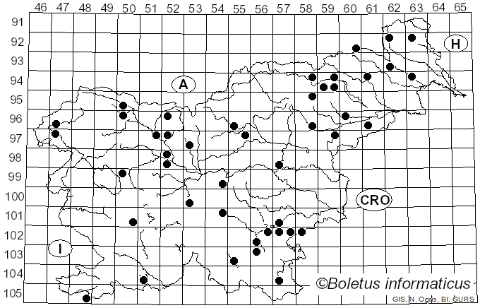 <i>Picipes</i> Zmitr. & Kovalenko (2016)