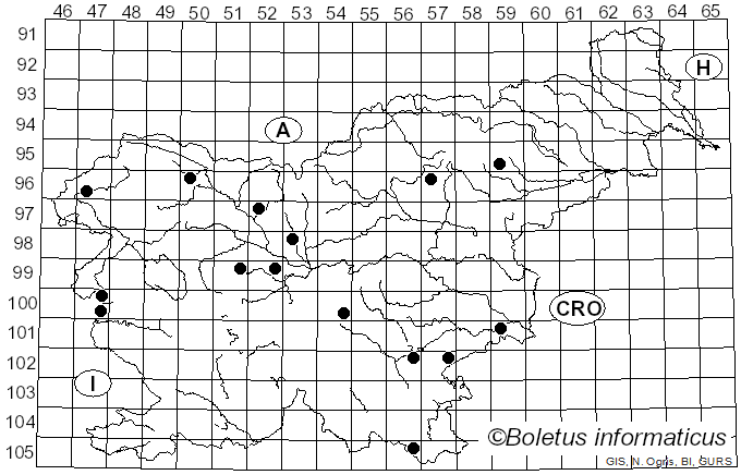 <i>Entoloma vernum</i> S. Lundell (1937)